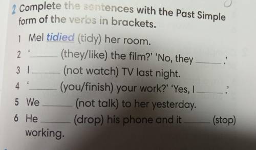 2 Complete the sentences with the Past Simple form of the verbs in brackets.