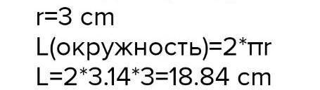 1. Найдите длину окружности радиуса 3 см. Число покруглите до сотых. найдите