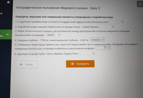 Географическое положение Мирового океана . Урок 2 8 Определи, верными или неверными являются утвержд