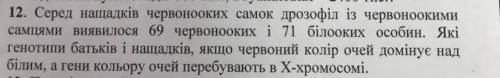 , относительно , задача биология, где А а Х хромосомы..♥️