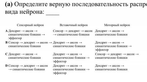 Можете , буду очень благодарна! 1. Нервная ткань состоит из нейронов и нейроглии. Относительно полож