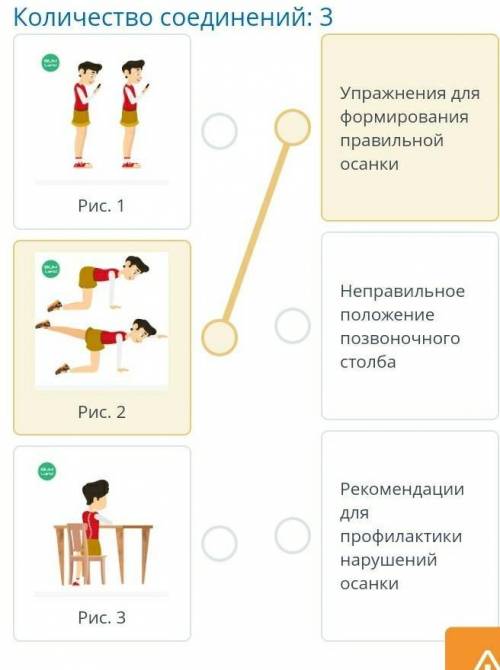 Соотнеси правильные ответы. .