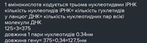 14.Визначте довжину і молекулярну масу гена, що кодує білок який складається з 125 амінокислот З ПОЯ