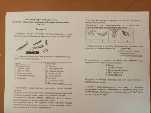 Это кантрольная работа по биологии 8 класс лидский райсполком решите это