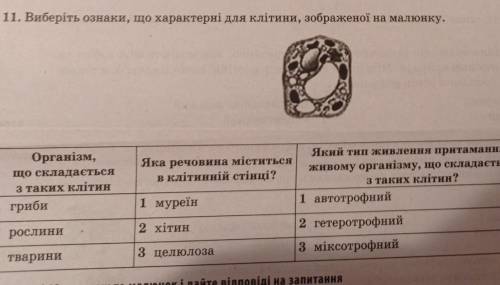 виберіть ознаки,що характерні для клітини,зображеної на малюнку