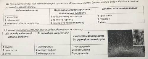 ‼️ОЧЕНЬ ‼️ Биология 10 и 11 задания Первое фото 1 вариант Второе фото 2 вариант