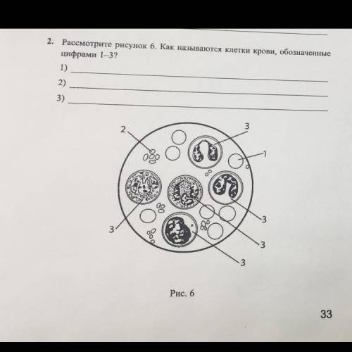 со 2 заданием Каковы функции этих клеток? Из этого задания