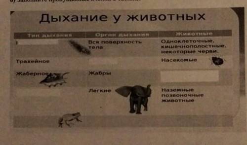 Заполните пропущенные ячейки в таблице Извините за качество, учитель фотографировал ЭТО СО₽