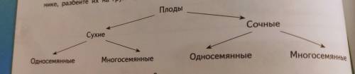 ЛАБОРАТОРНАЯ РАБОТА. Плоды Материалы и оборудование: различные плоды растений. Цель: познакомиться с