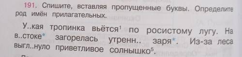 Спишите, вставляя пропущенные буквы. Определите род имён прилагательных. Продолжите текст, дописав 2