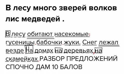 В лесу много зверей волков лис медведей . В лесу обитают насекомые гусеницы бабочки жуки. Снег лежал