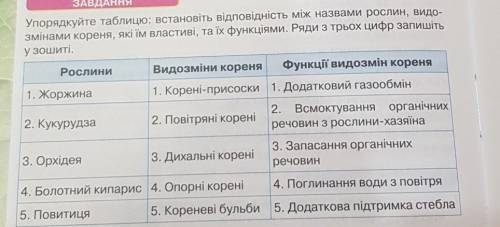 Упорядкуйте таблицю: встановіть відповідність між назвами рослин, видо- змінами кореня, які їм власт