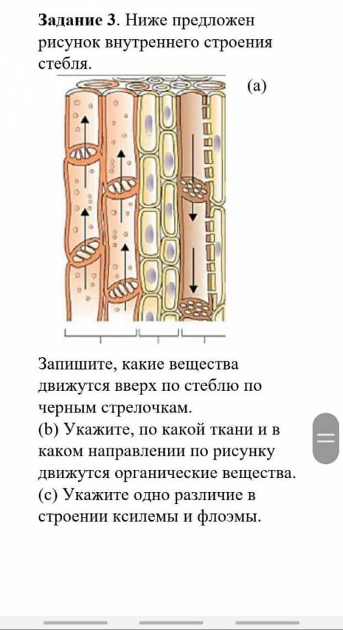 Ребята с биологией 7 класс