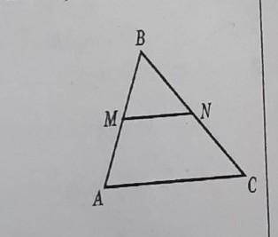 MN ll AC знайти BM якщо AB=6сm, MN=4cm, AC=12cm