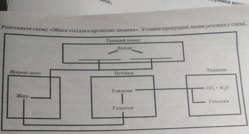 Біологія до іть будь ласка