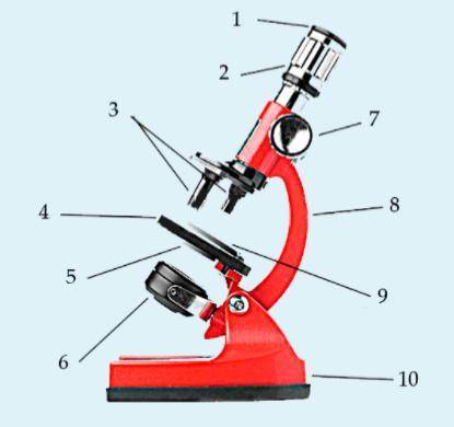 Визначте частини мікроскопа