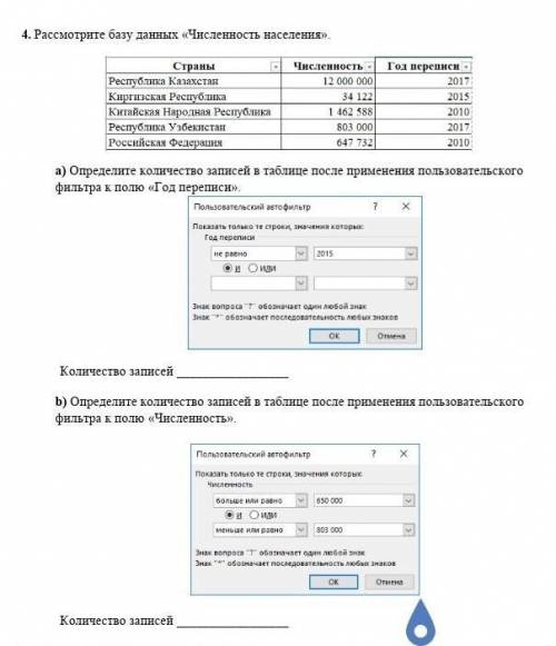 Определите количество записей в таблице после применения пользовательского фильтра к полю «Год переп