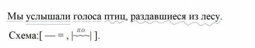 Мы услышали голоса птиц раздавшийся из лесу, сделайте синтаксический разбор