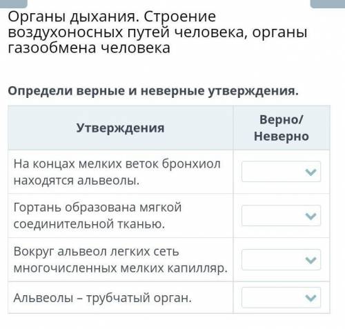 Органы дыхания. строение воздухоносных путей человека, органы газообмена человека определи верные и