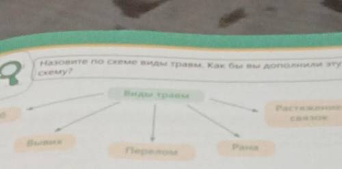 Назовите по схеме виды травм. Как бы вы дополнили эту схему? Виды травм Растяжение связок Ушиб Вывих