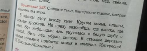 упражнение 257 Спишите текст подчеркните гласные которые обозначают два звука