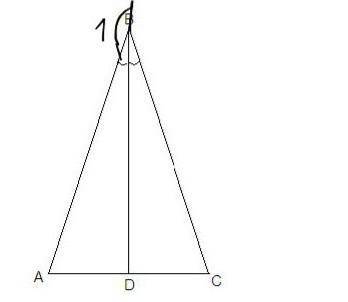 в равнобедренном треугольнике abc с основанием ac проведена медиана bd найдите градусные меры угол b