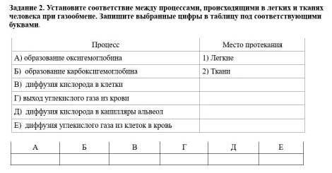 Установите соответствие между процессами, происходящими в легких и тканях человека при газообмене.