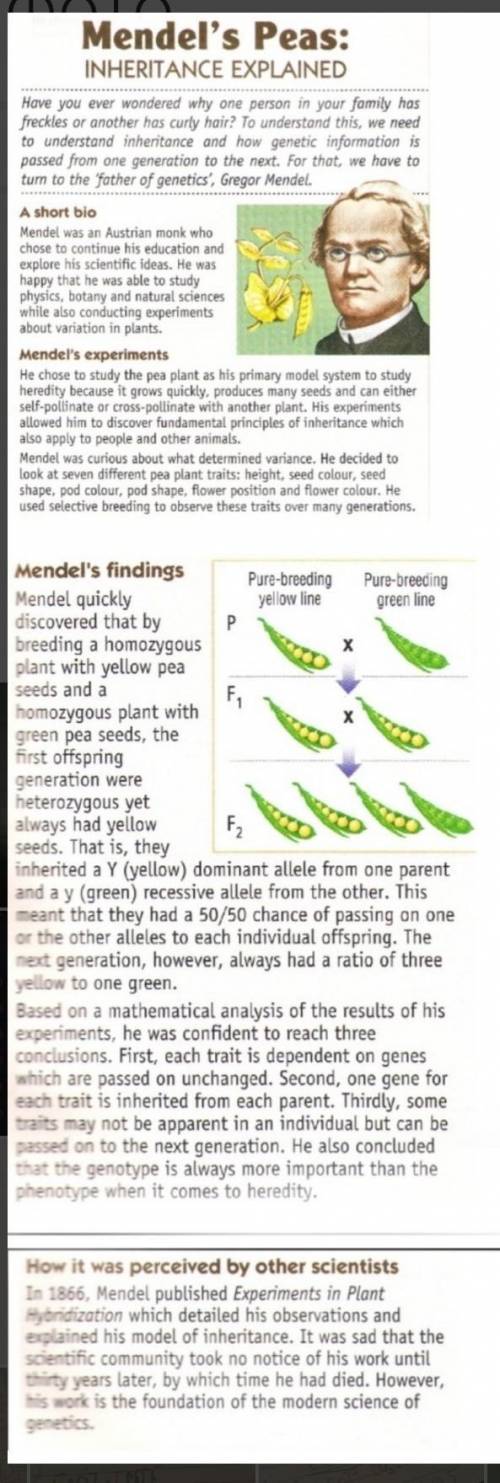 Read the text again. Mark the sentences T (true), F (false) or DS (doesn't say). 1 Gregor Mendel was