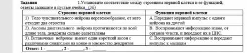 Лёгкий вопрос ответьте 1.Установите соответствие между строением нервной клетки и ее функцией, ответ