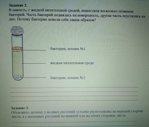 Всё на фото , а то нечего не понимаю.. и да два задания надо решить буду очень благодарна кто