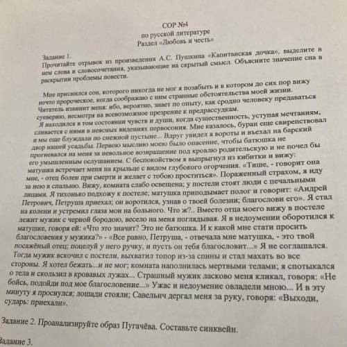 Прочитайте отрывок из произведения А.С. Пушкина «Капитанская дочка», выделите в нем слова и словосоч