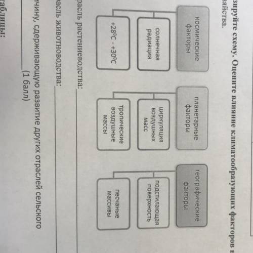 2. Проанализируйте схему. Оцените влияние климатообразующих факторов на особенности развития сельско