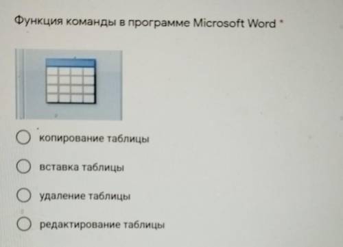 Функция команды в программе Microsoft Word НА О копирование таблицы O вставка таблицы O удаление таб