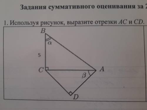 1. Используя рисунок, выразите отрезки AC и CD. B a 5 CE А ß D