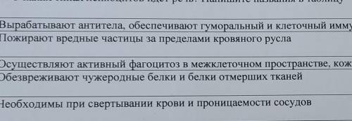 4. О каких типах лейкоцитов идет речь? Напишите названия в таблицу Вырабатывают антитела, обеспечива