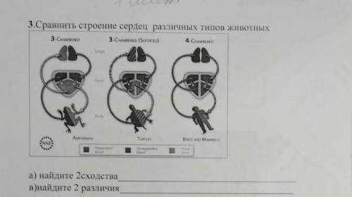 3.Сравнить строение сердец различных типов животных у животных :лягушка , черепаха , человек 2 отлич