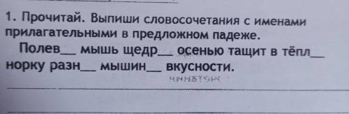 Полевая мышь щедрой осенью тащит в теплую норку разные мышиные вкусности. Выпиши словосочетания с им