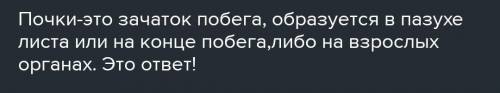 Зачем растениям (например рябине) нужны войлочно-пушистые почки?