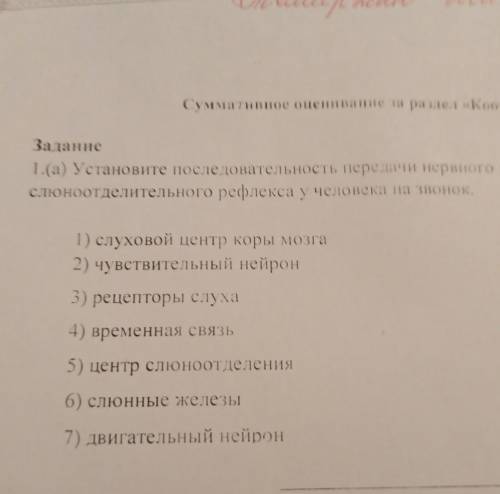 , Установите последовательность передачи неровного импульса по дуге условного слюноотделительного ре