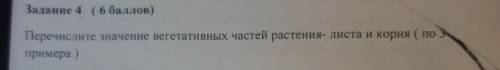 Задание 4 ( ) Перечислите значение вегетативных частей растения- листа и корня ( по 5 примера )