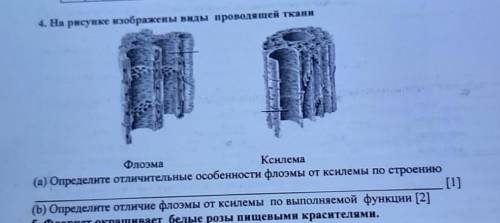 с 4 заданием, а и б. , 10б