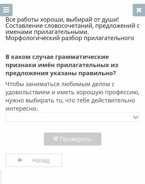 В каком случае грамматические признаки имён прилагательных из приложения указаны правильно?