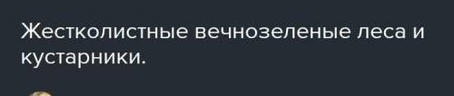 Природные зоны Аппенинского полуострова