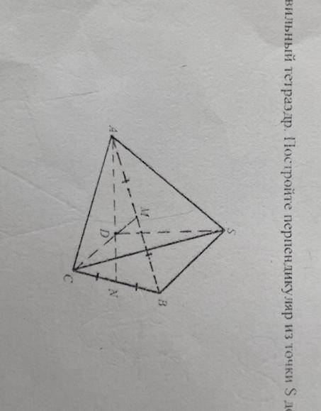 SABC правильный тетраэдр. Постройте перпендикуляр из точки S до прямой АС.