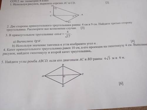 выполните задание номер найти второй катет, гипотенузу уже нашла