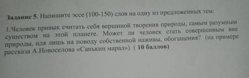 Задание 5. Напишите эссе 100-150) слов на одну из предложенных тем: 1. Человек привык считать себя в