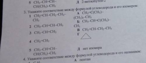 Укажите соответствие между формулой углеводорода и его изомером: