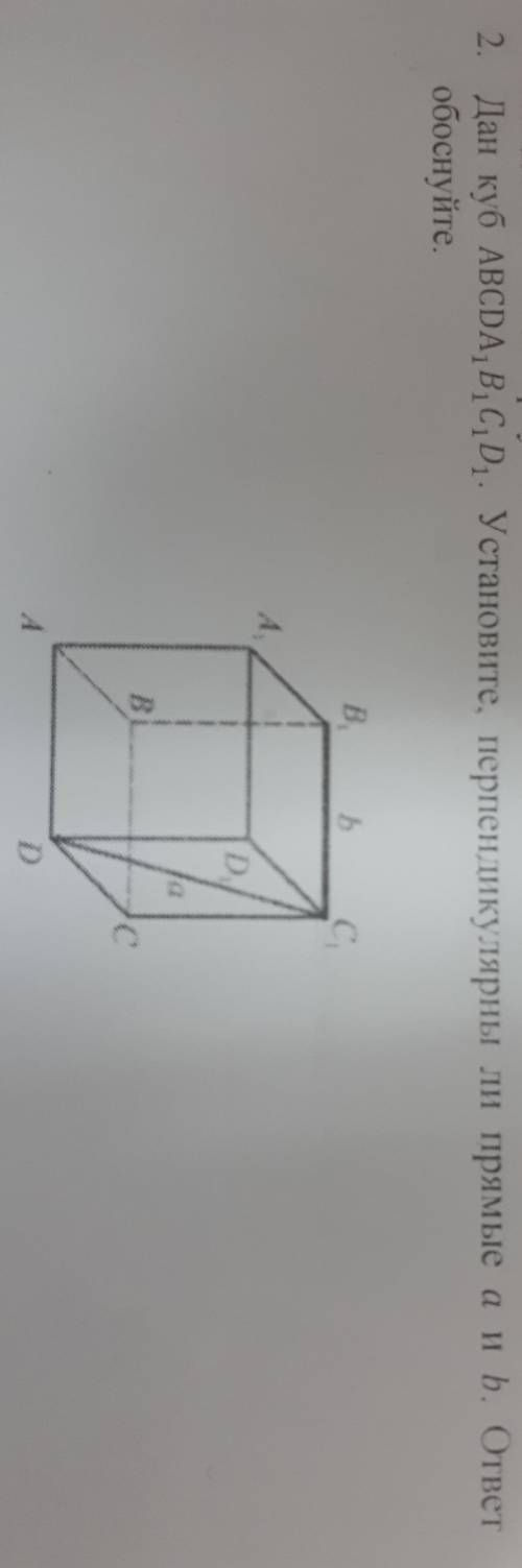 Дан куб ABCDA1B1C1D1. Установите, перпендикулярн ли прямые b(B1C1) и a(C1D)