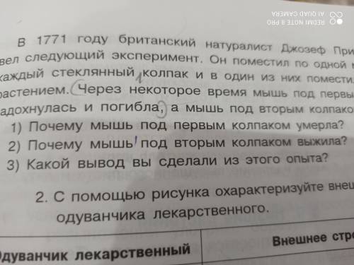 2почему мышь под вторым колпаком Выжыла 3какой вывод вы сделали из этого опыта