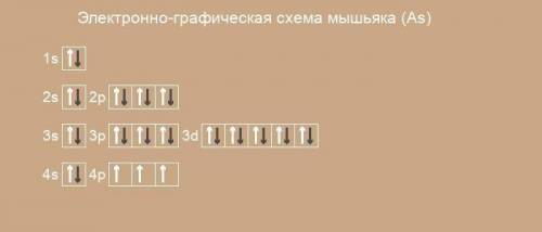 написать электронную формулу атома арсена и указать, сколько неспаренных электронив имеет атом Арсен